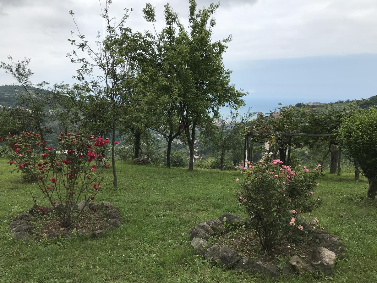 Sea & Nature Villa Hisar ทรับซอน ภายนอก รูปภาพ