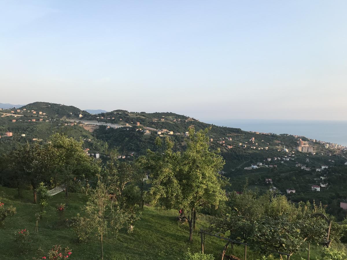Sea & Nature Villa Hisar ทรับซอน ภายนอก รูปภาพ
